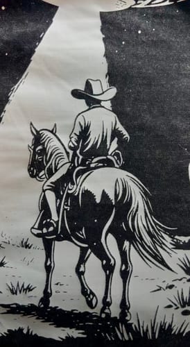 Customer photo review of Retro Modelo Beer UFO Bull Abduction T-Shirt/Sweatshirt/Hoodie