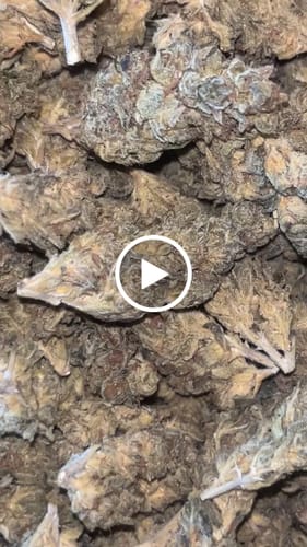 Customer video review of Cheap THCA Flower Pound (450g)