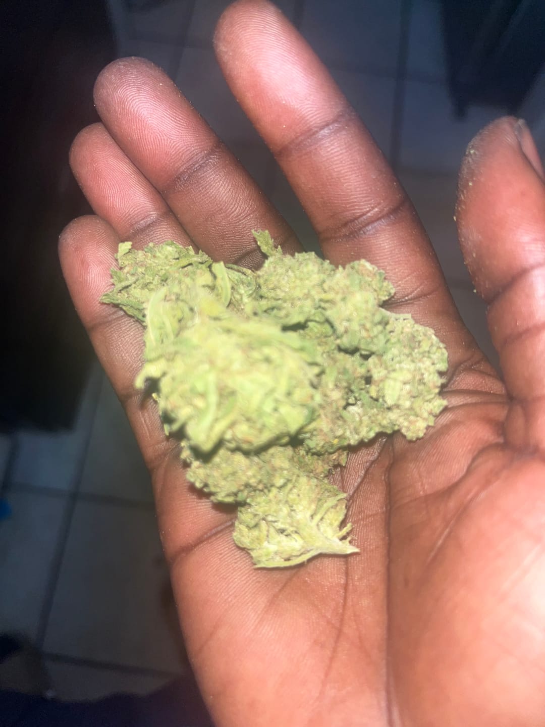 Customer photo review of Jungle Gelato - Bulk - Indica