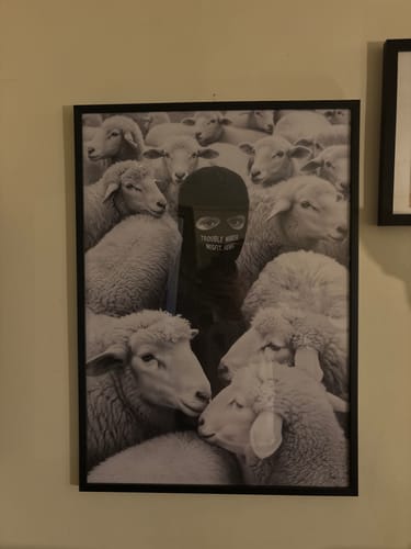 Customer's Black Oak Gallery Frame on a wall, displaying an art print of a person in a balaclava among sheep.