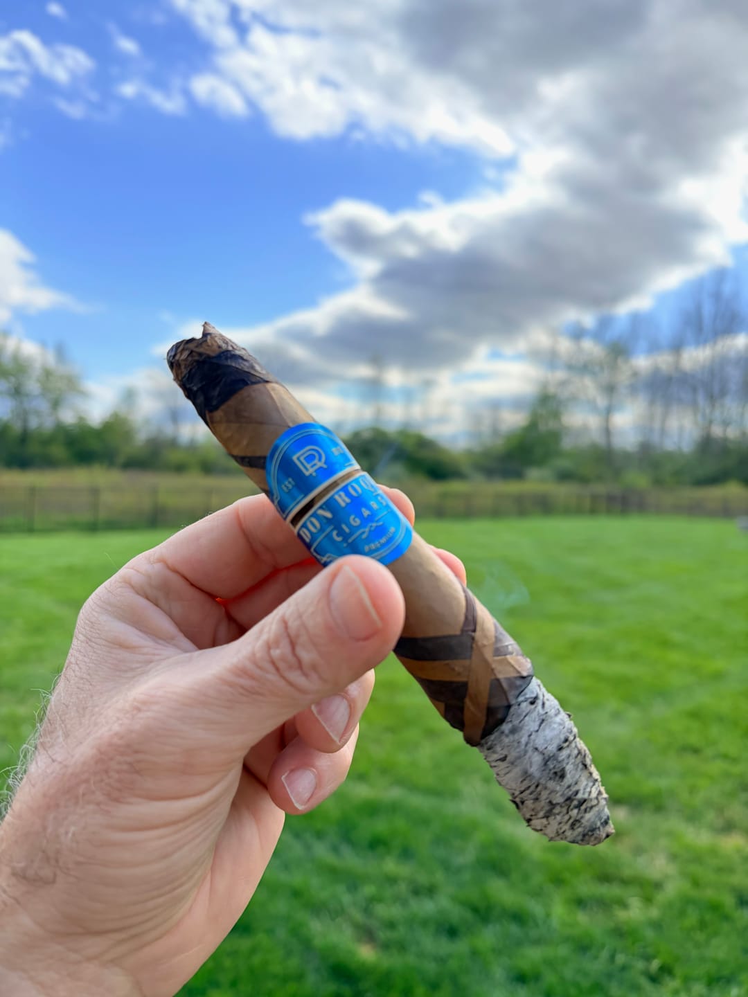 Customer photo review of SUMATRA HIGH NOON DRAGON