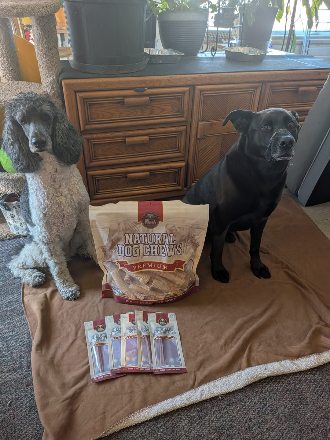 Customer photo review of 6 Inch Beef Trachea