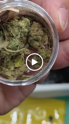 Customer video review of Candy Runtz 28% THCA