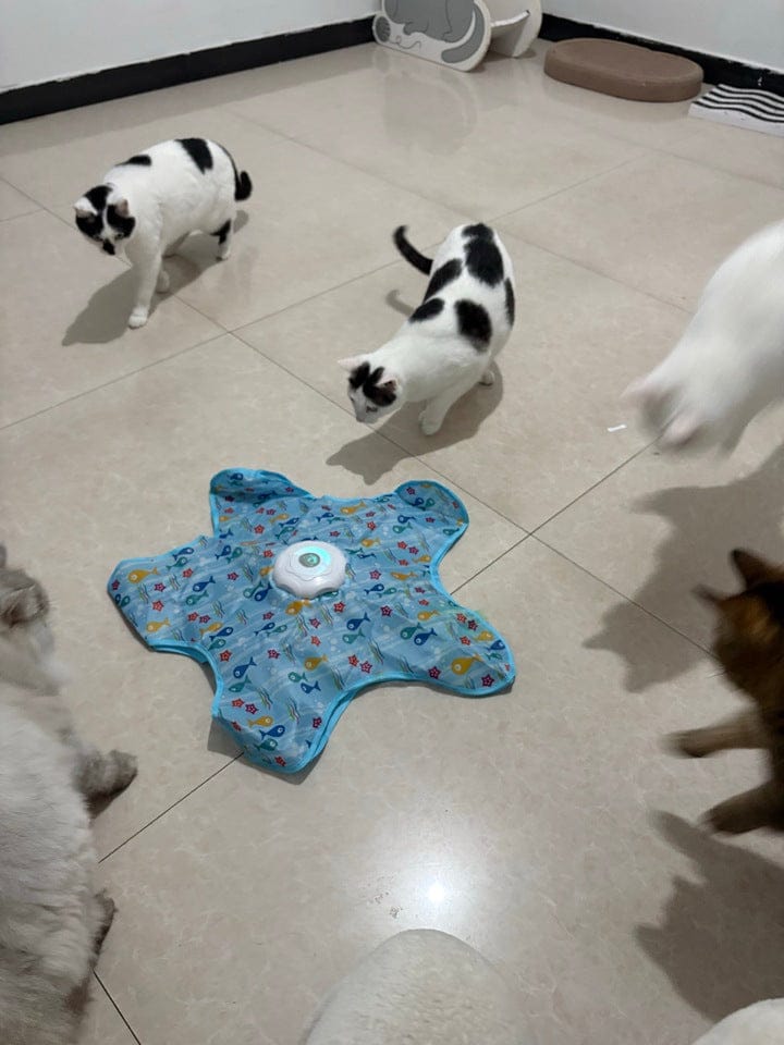 Customer photo review of Teasing UFO (Cats)