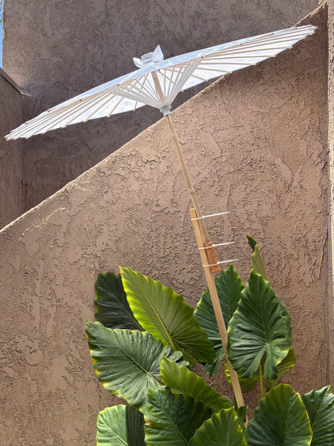 Customer photo review of Extra Large 38" White Nylon Parasol Umbrella with Elegant Handle