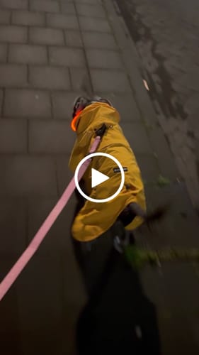 Customer video review of 1.4m Swivel Combat Lead | Anti-Tangle & Secure Clip - Pink
