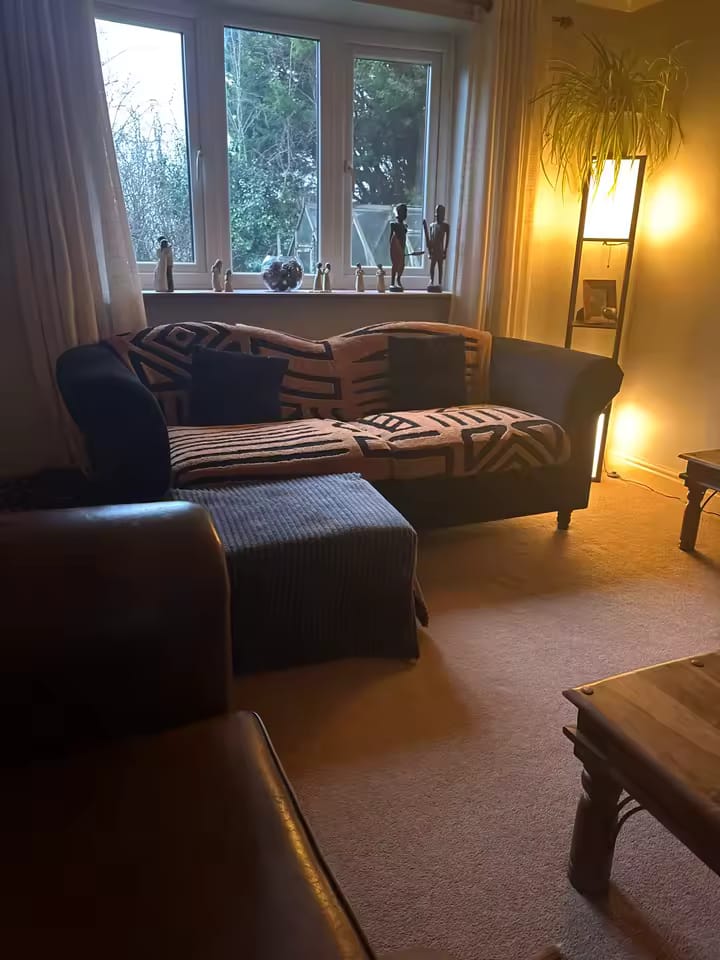 Customer photo review of Velvet Sofa Cover – Geometric Jacquard Protector