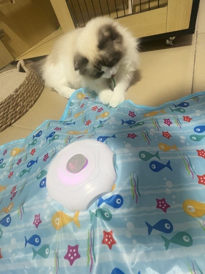 Customer photo review of Teasing UFO (Cats)