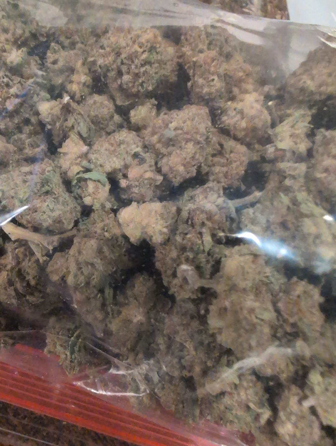 Customer photo review of Raspberry Kush Minis  - Bulk Minis - Indica