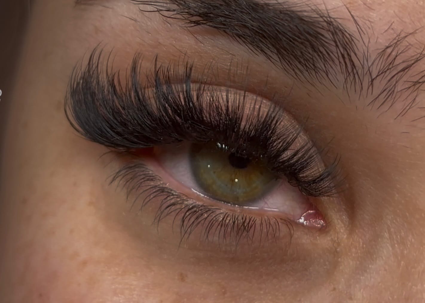 Customer photo review of 0.05 EASY FAN CAMELLIA LASHES SINGLE LENGTH 8-18MM