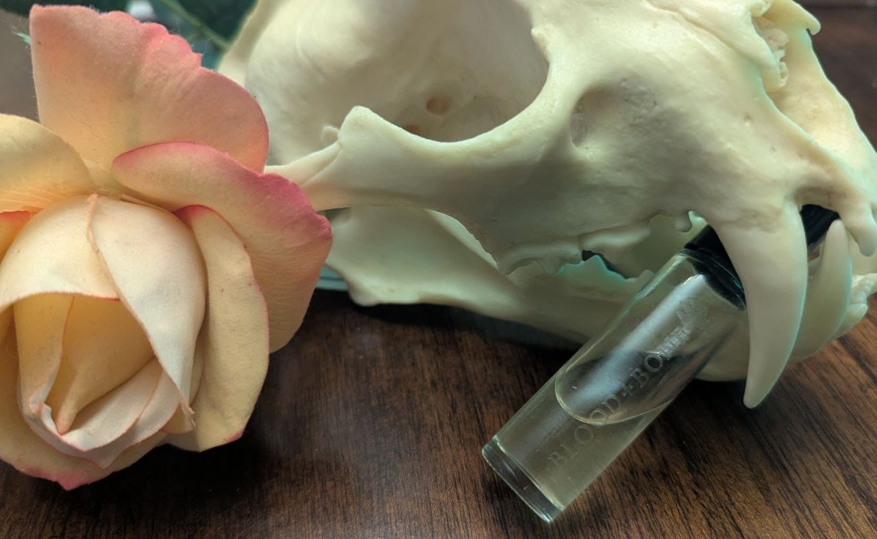 Customer photo review of Blood and Bone, with Old Gods of Appalachia