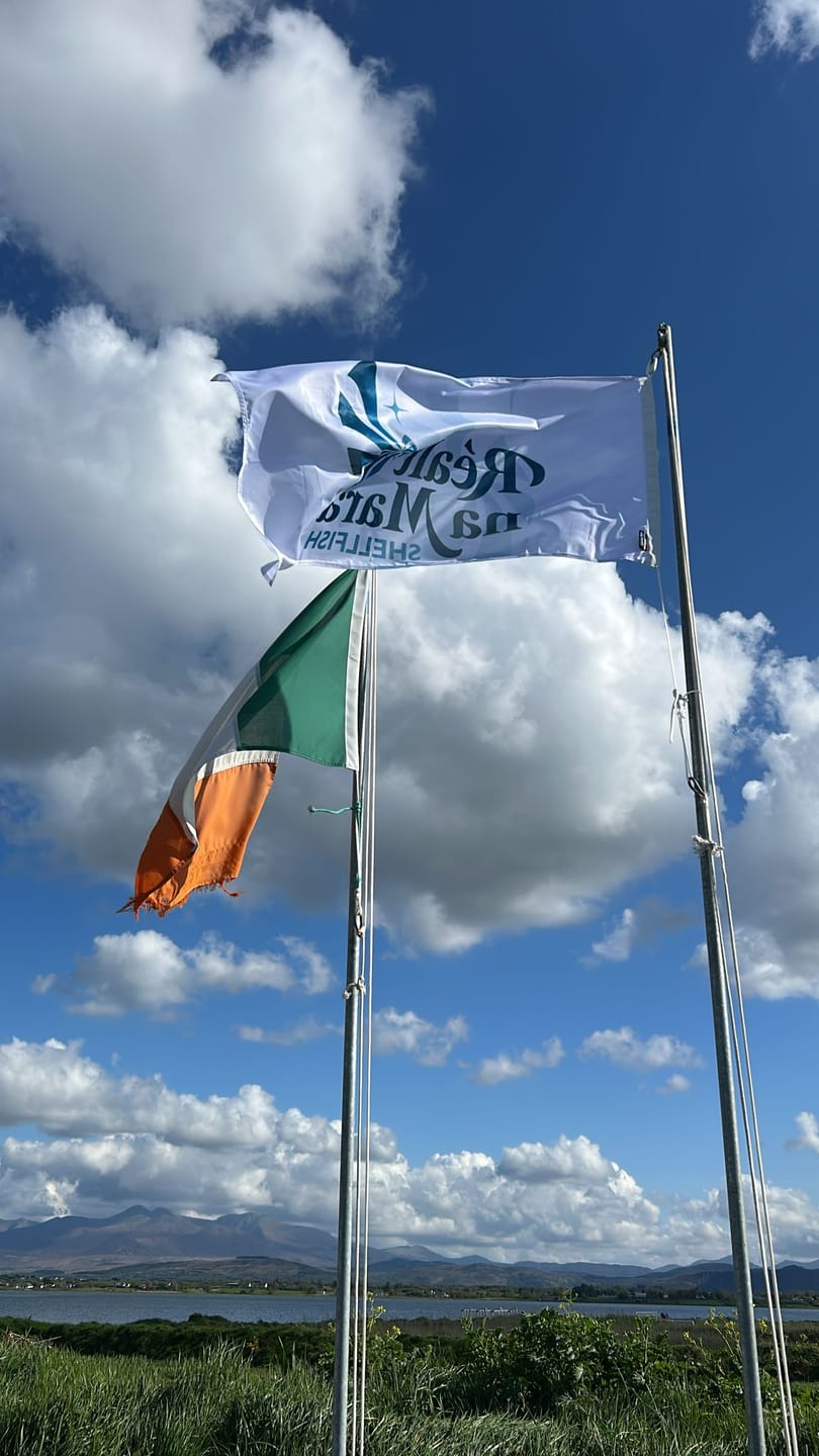 Customer photo review of Personalised Standard Flag