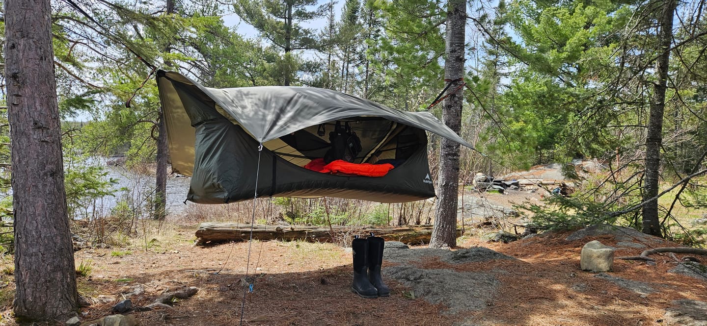 Customer photo review of Haven XL