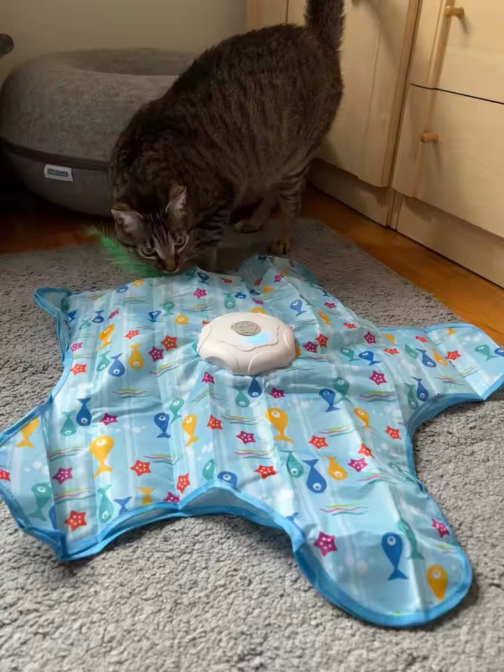 Customer photo review of Teasing UFO (Cats)