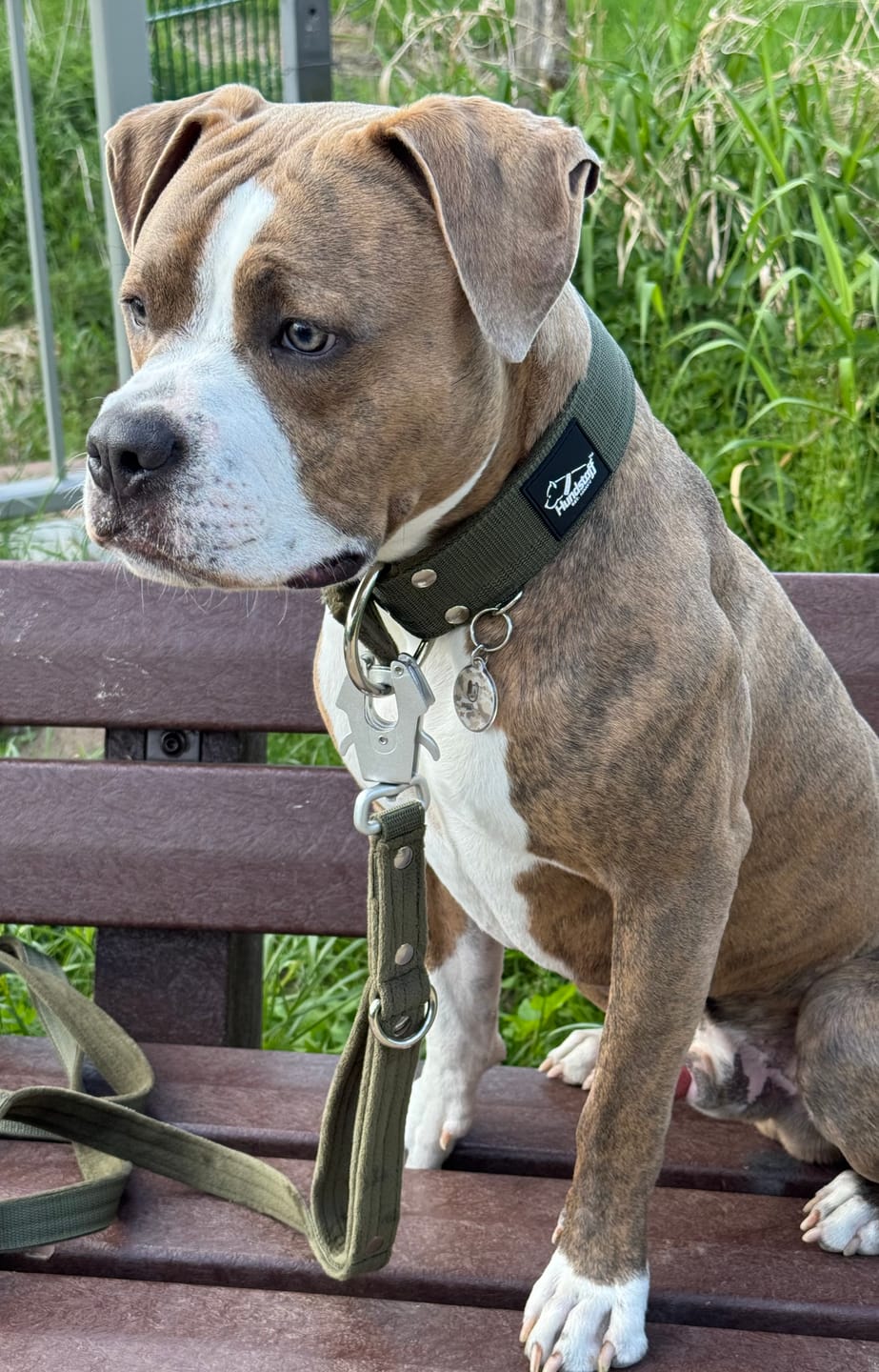 Customer photo review of Guard Leash Khaki - Väktarkoppel med extra handtag