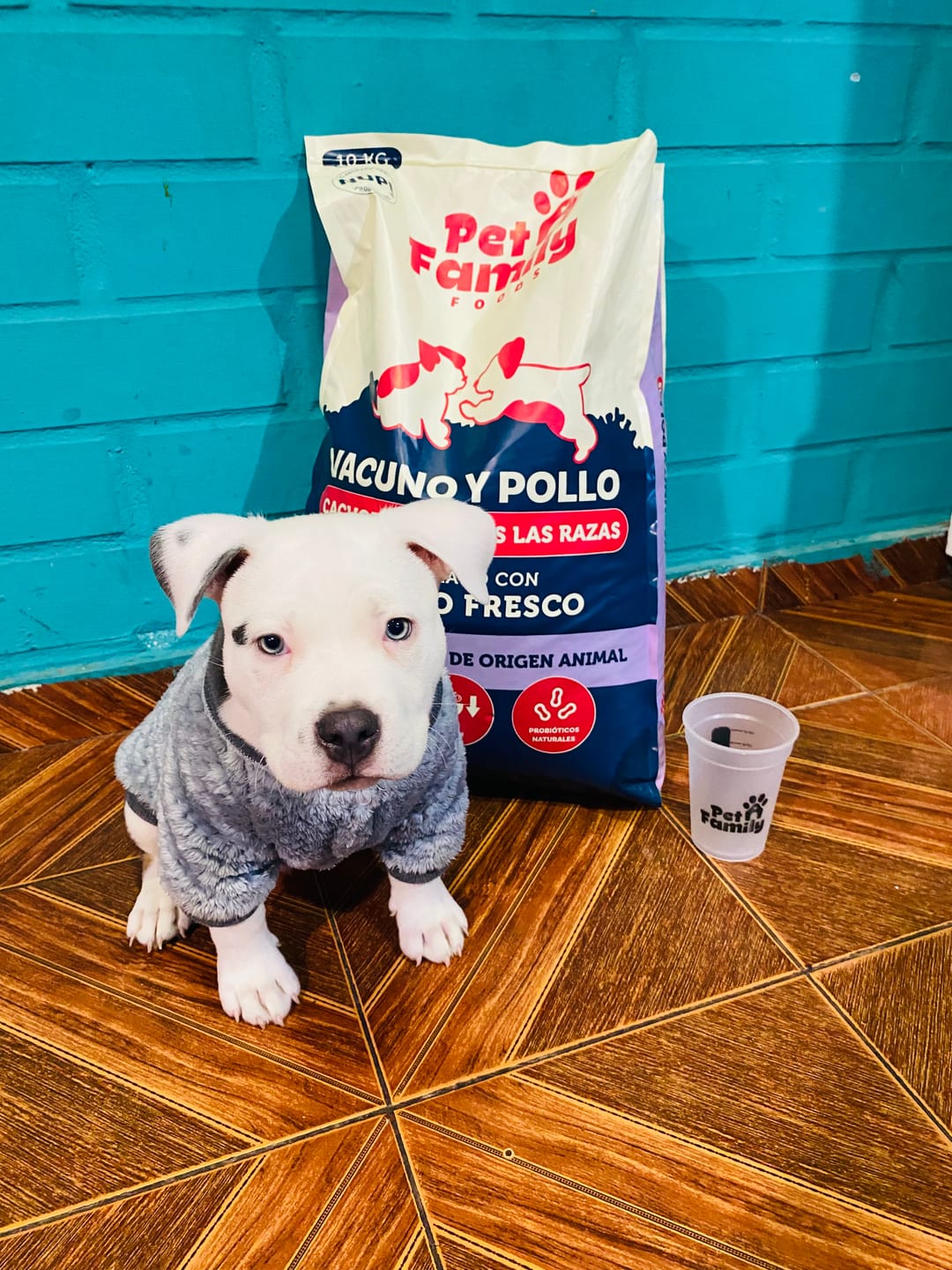 Customer photo review of PetFamily Foods Cachorros