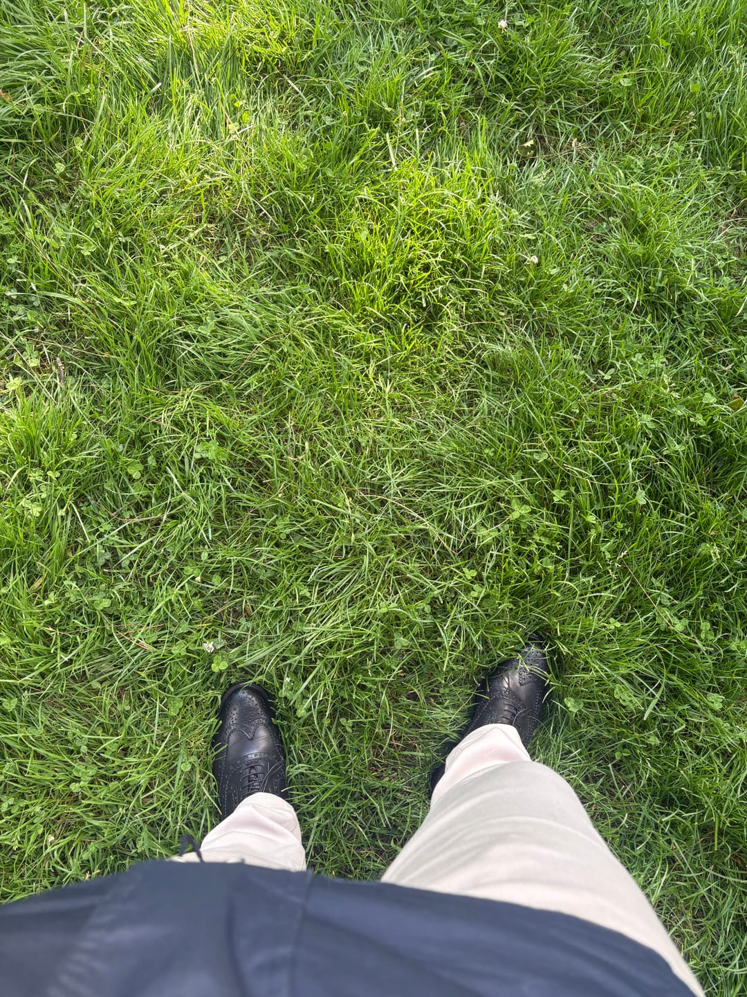 Customer photo review of Stringate Pelle 080 Crust Nero Cuoio