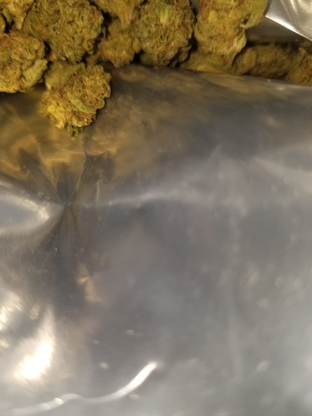 Customer photo review of Secret Weapons - Greenhouse Smalls