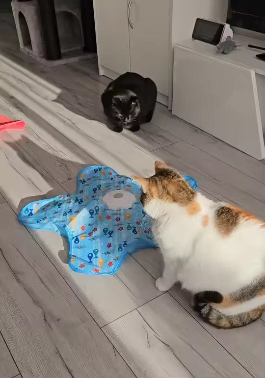 Customer photo review of Teasing UFO (Cats)