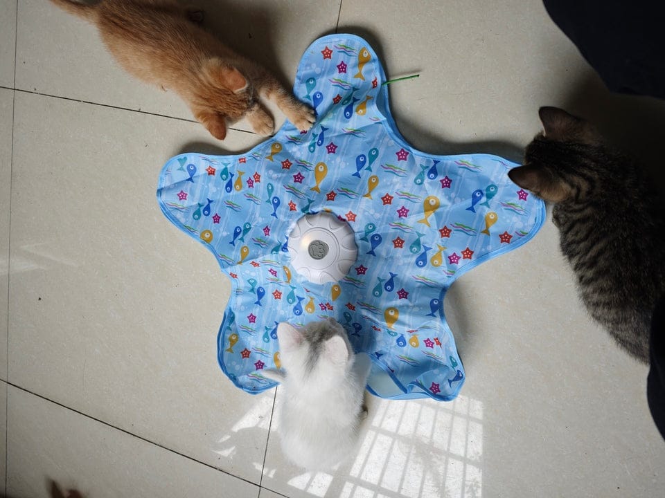 Customer photo review of Teasing UFO (Cats)
