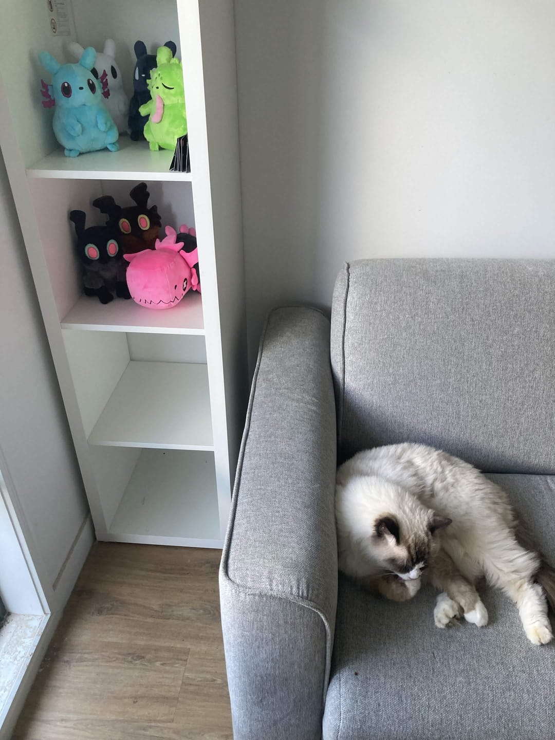 Customer photo review of Rain World - Brown Scavenger Plush