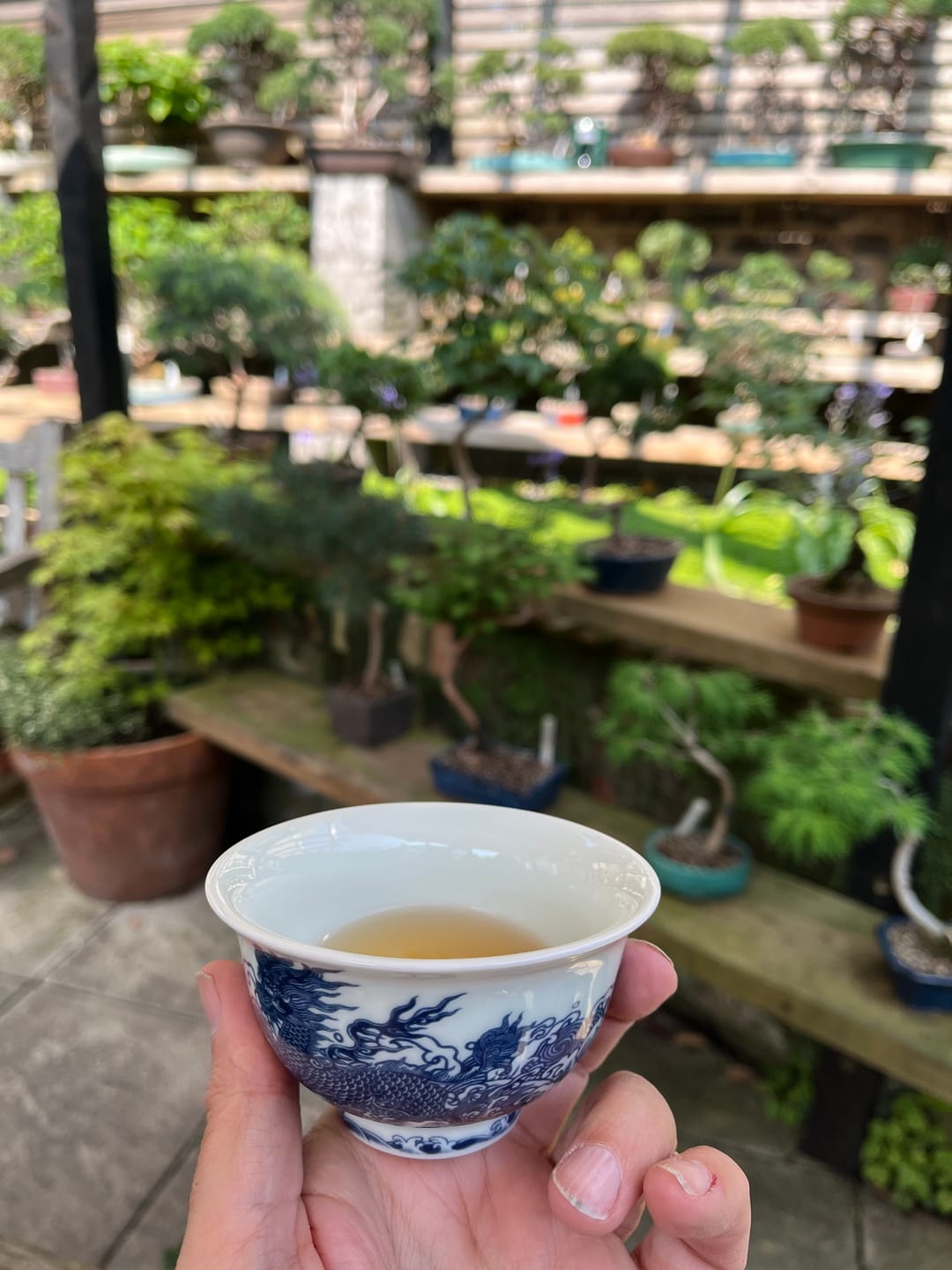Customer photo review of Hengxian Dark Jasmine Needle Green Tea – “Mo Xiang Zhen”墨香针
