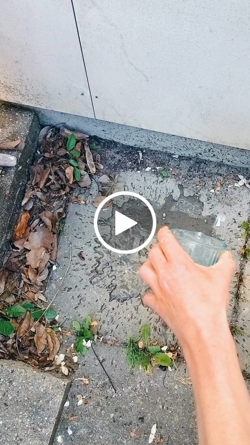 Customer video review of Invisible Spray 2.0 Starter Kit (10-15 sq ft)