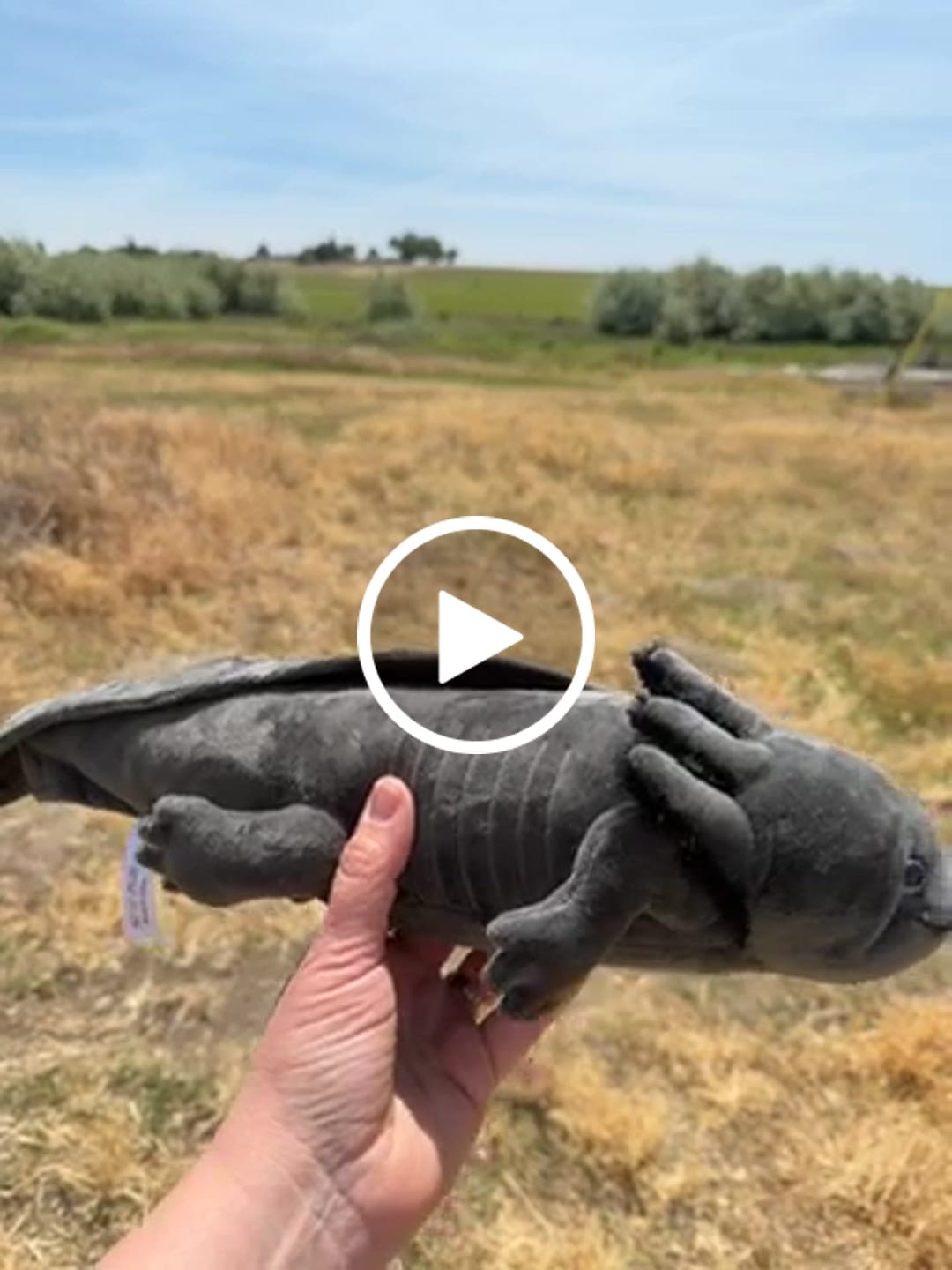 Customer video review of Black Axolotl Soft Stuffed Plush Toy