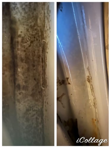 Customer photo review of GLASSGUARD® Miracle Mould Removal Gel