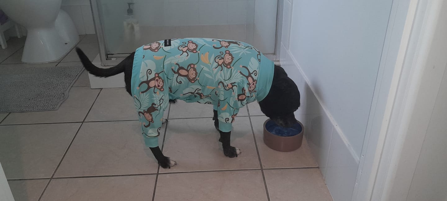 Customer photo review of Dog Pajama - Monkey Business