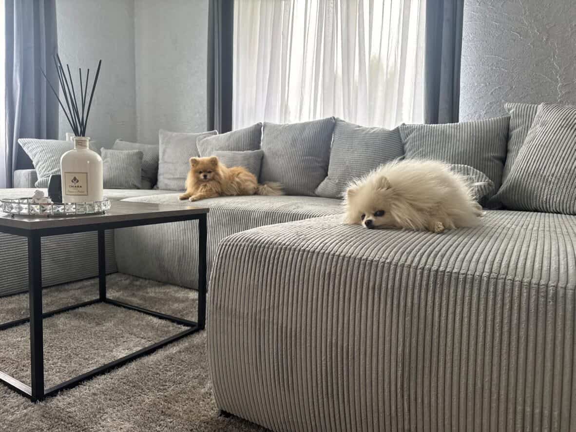 Customer photo review of Plush "U"-Formos Beige