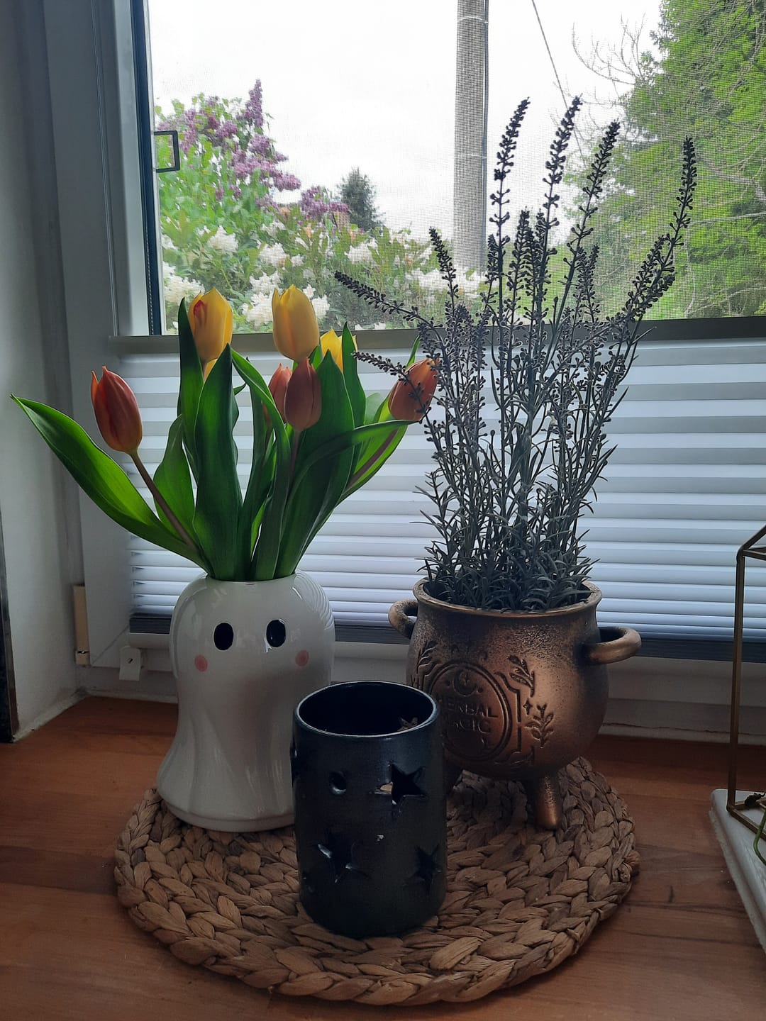 Customer photo review of Herbal Magic Kessel-Blumentopf – Terrakotta Pflanzenkessel in Bronzeoptik