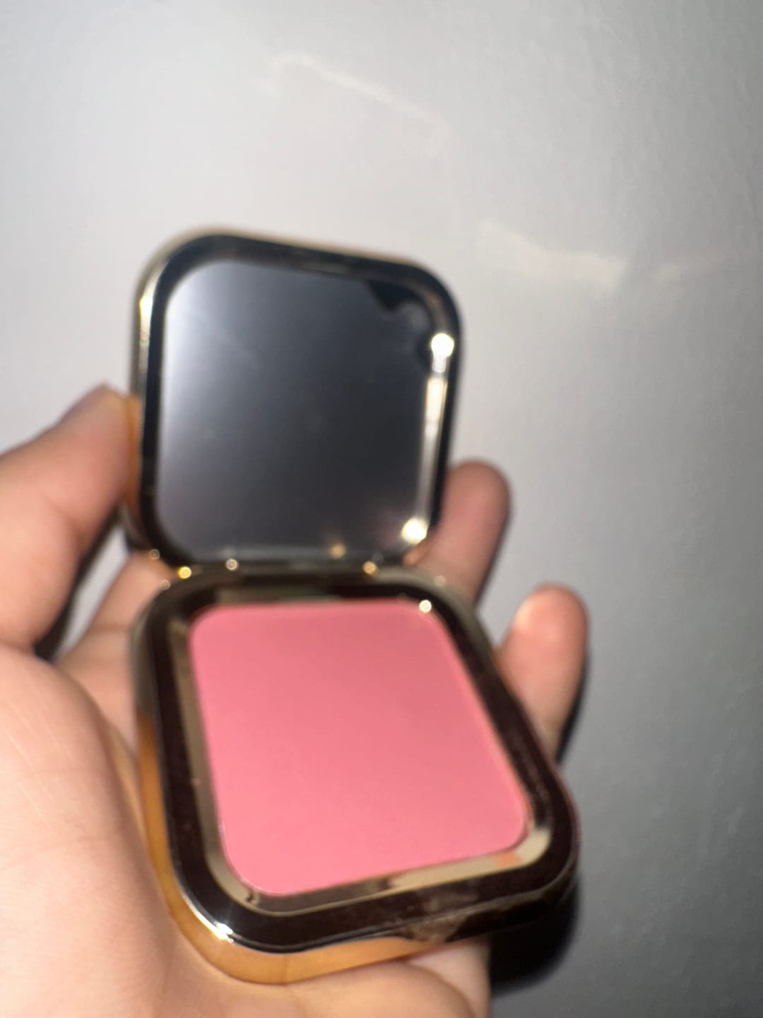 Customer photo review of RUBORES COMPACTO 1ST SCENE DUSTYROSE