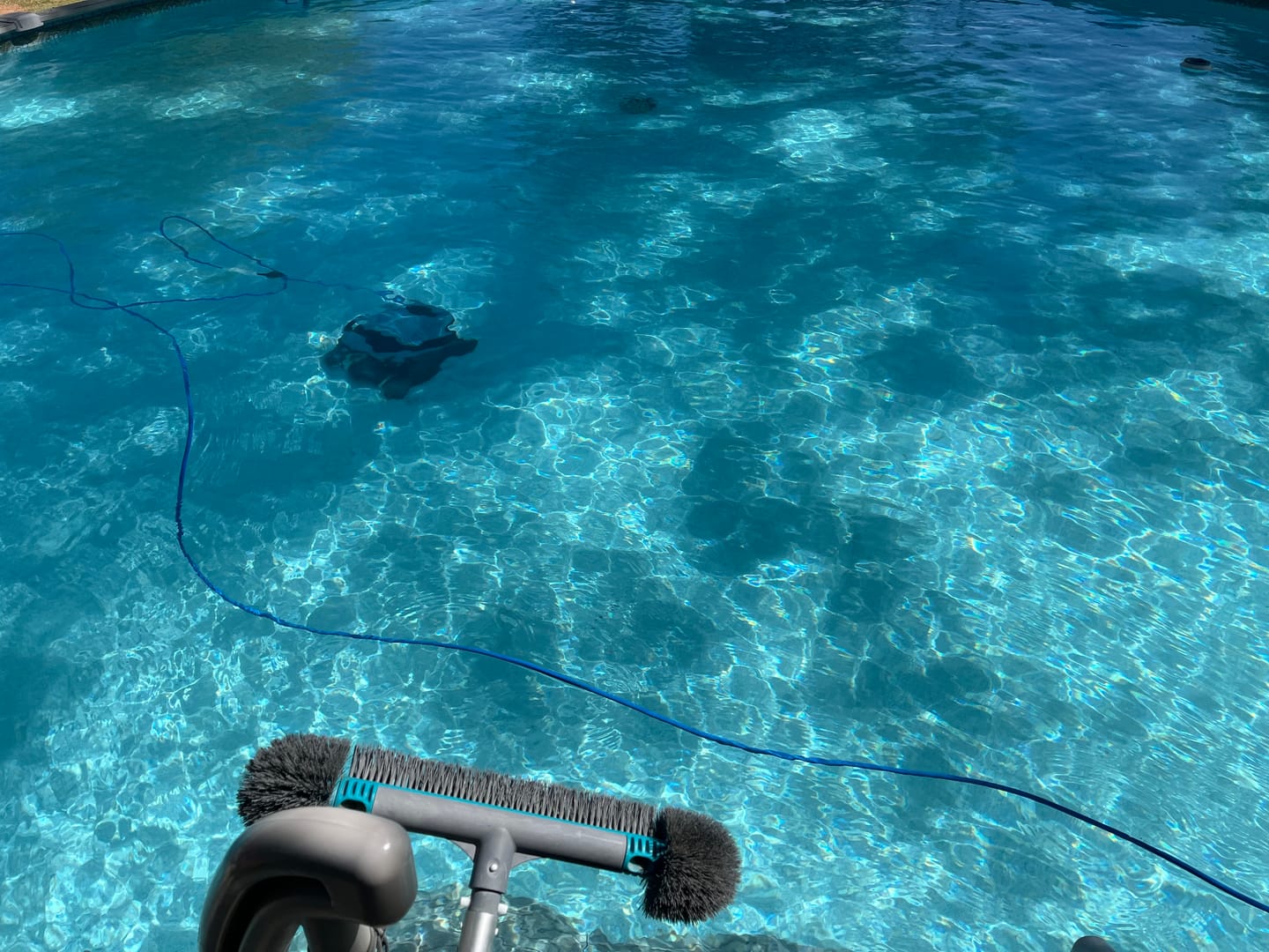 Customer photo review of Dolphin S2000 Corded Robotic Pool Vacuum Maytronics