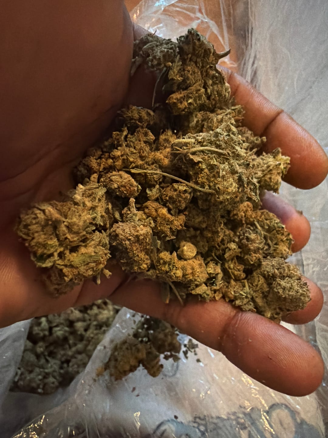 Customer photo review of Blueberry Muffins Minis - Bulk Minis - Indica