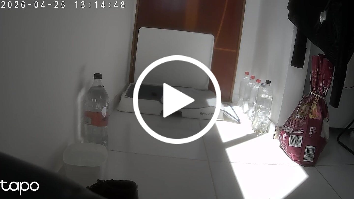 Customer video review of Weasy Cão | Banheiro inteligente para cachorro
