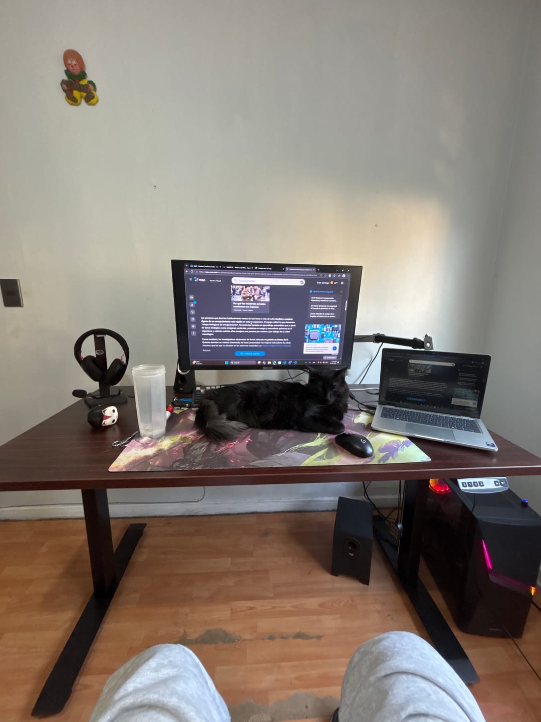 Customer photo review of Standing Desk 1.40 x 70 cm