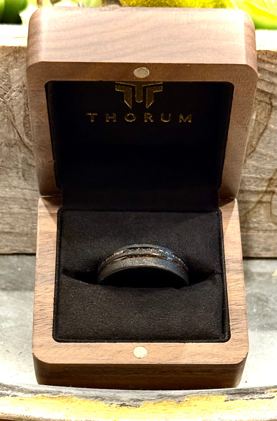 Customer photo review of The Meteorsaur