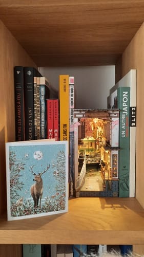 Customer photo review of DIY Book Nook kit - Sakura Densya