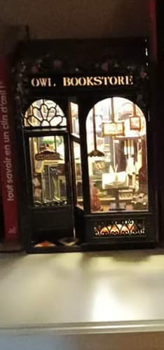 Customer photo review of DIY Book Nook kit - Owl Bookstore