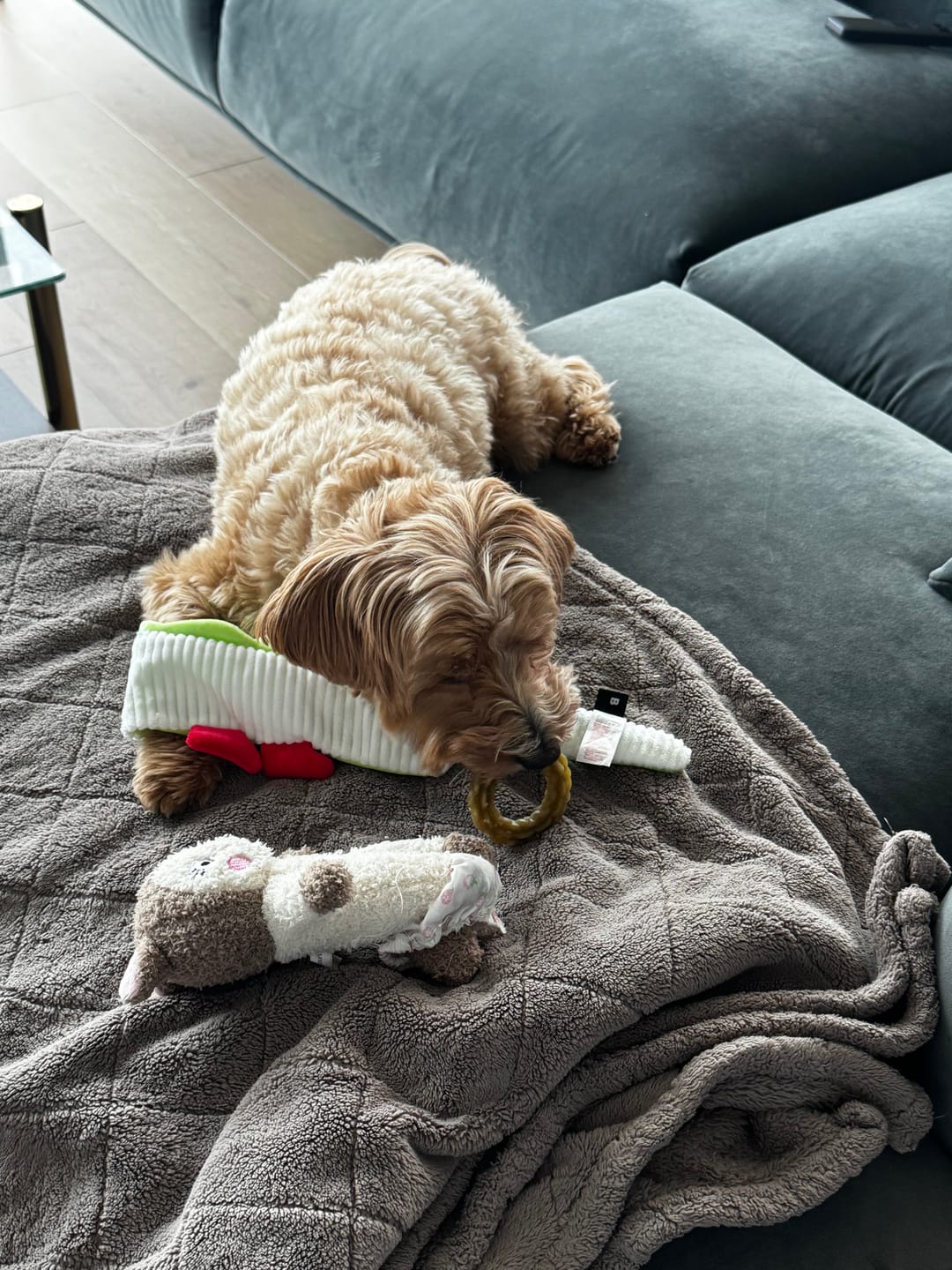 Customer photo review of Long Long Tug Toy (2 types)