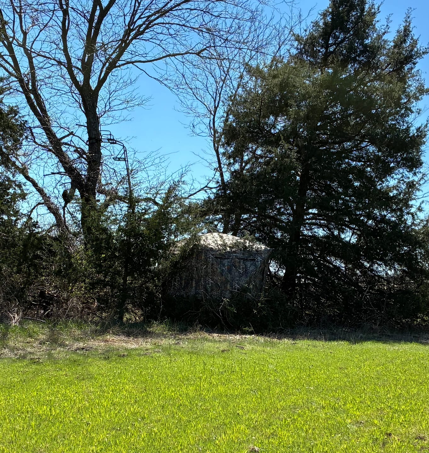 Customer photo review of Tidewe Vis360 See-Through Ground Blind for Deer/ Turkey Hunting (3-4 Person)
