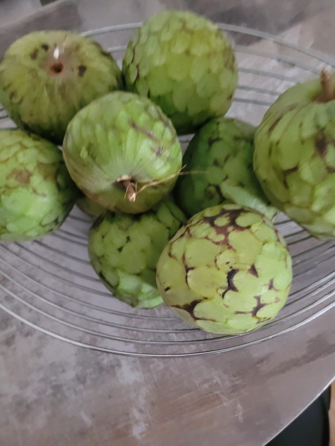 Customer photo review of Cherimoya Bio von Julian Sonderaktion %