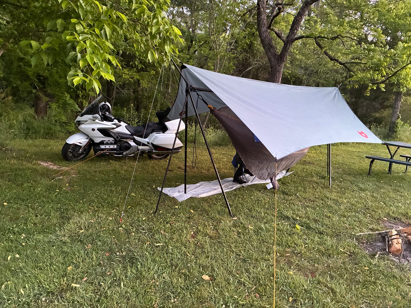 Customer photo review of Turtlebug Camper Hammock Stand