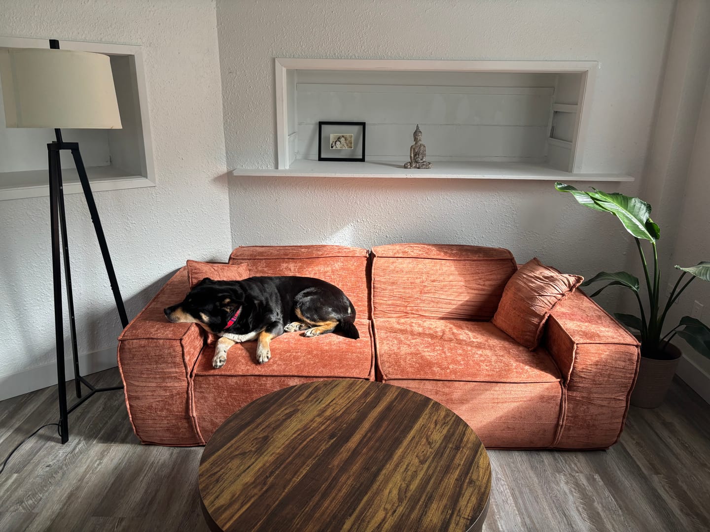Customer photo review of M1 Sofa Loveseat