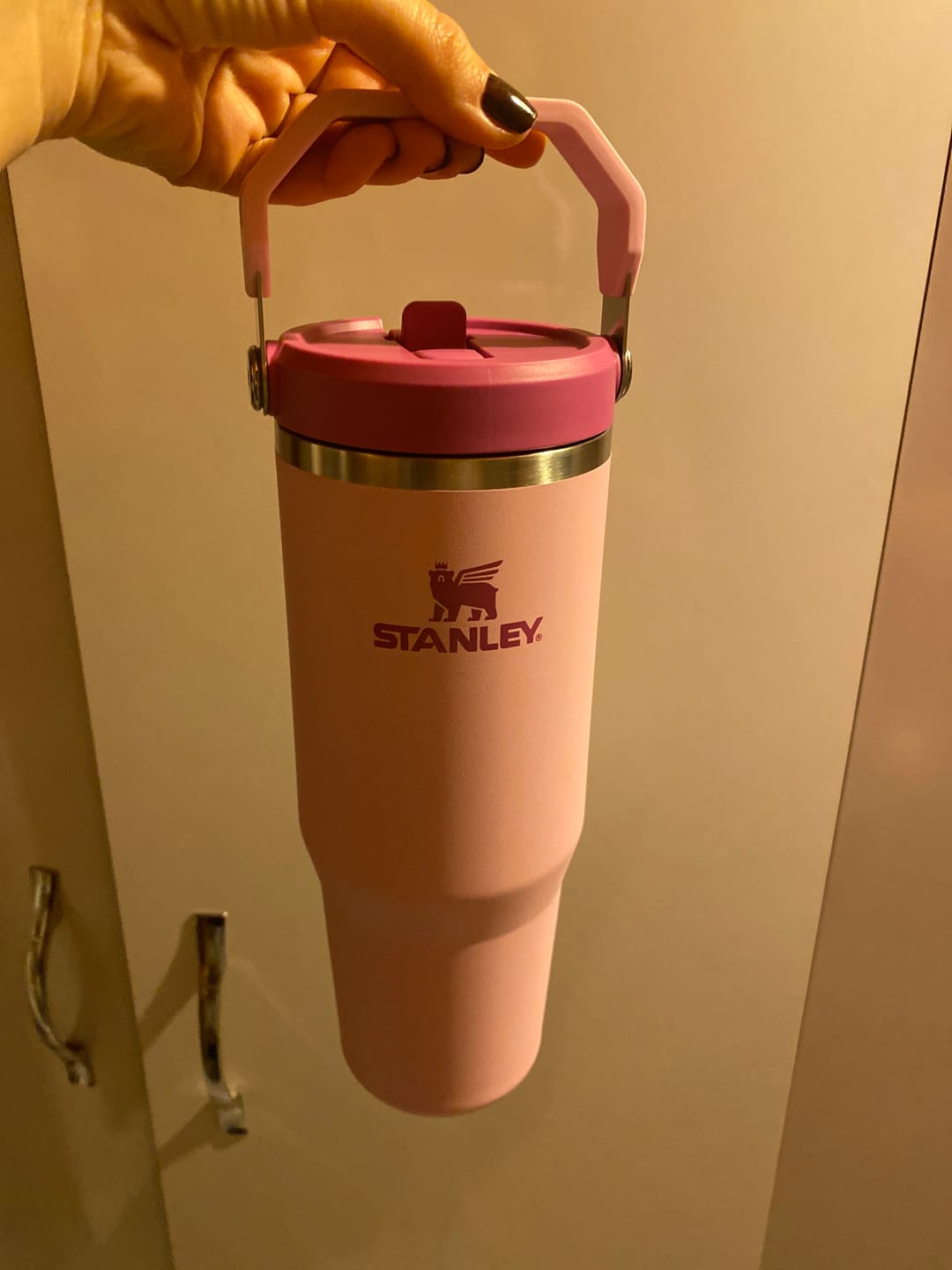 Customer photo review of Stanley The Iceflow Flip Straw Tumbler Pipetli Termos Cherry Blossom (Pembe) 0.89L