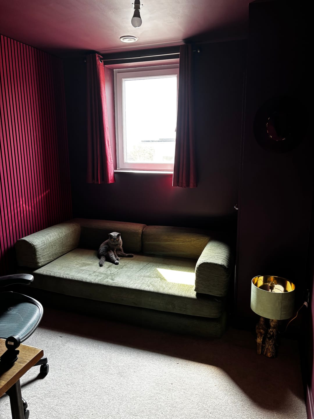 Customer photo review of VacuumLuxe Compression Sofa