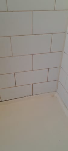 Customer photo review of GLASSGUARD® Miracle Mould Removal Gel x 2