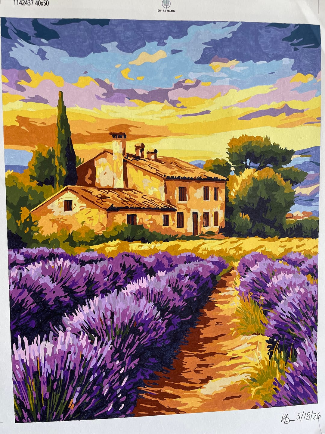 Customer photo review of Lavender field in France | Paint by Number