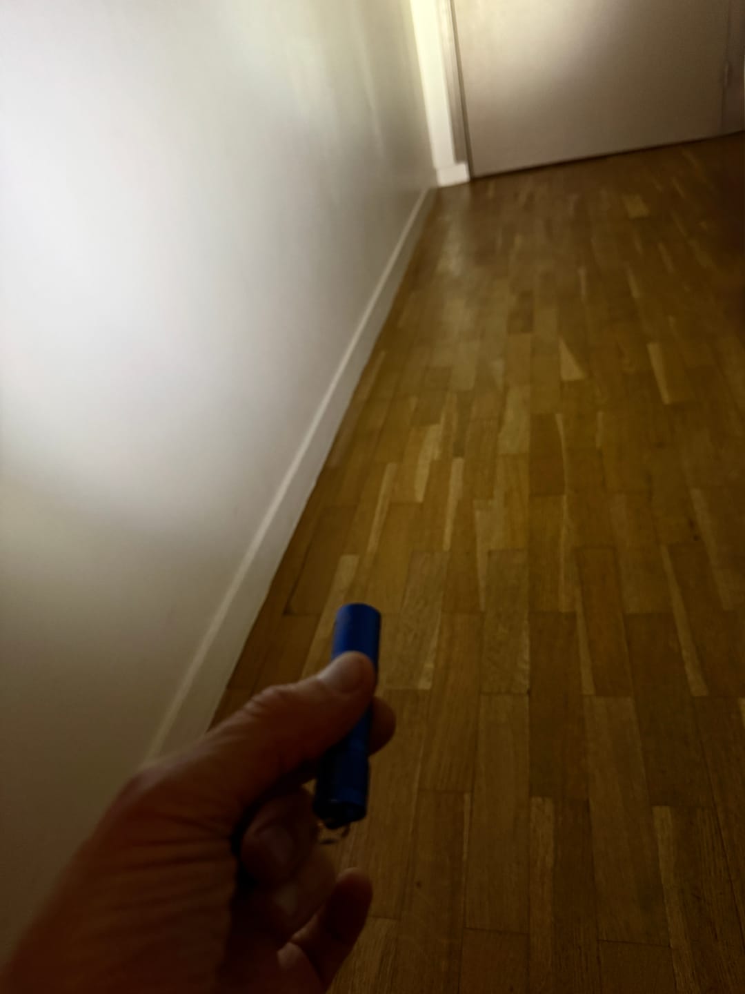 Customer photo review of Fenix E01 V2.0 - 100 lumens - Piles AAA - 35 mètres de portée